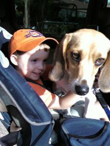 Read more about the article Adam wants a dog