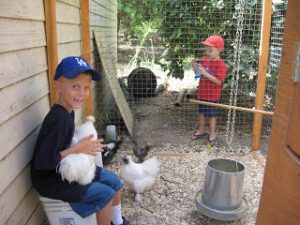 Read more about the article Introduction….