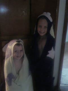 You are currently viewing All fresh and clean!