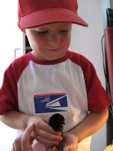 Read more about the article In loving memory of Frizzy Lizzie