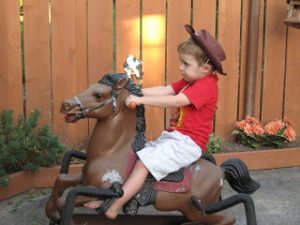 Read more about the article A cowboy