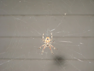 You are currently viewing Country Living….