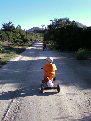 You are currently viewing Bike Ride