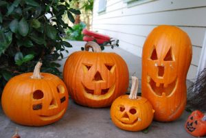 Read more about the article Our pumpkins