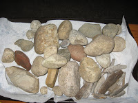 Read more about the article Pumpkin Rocks