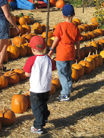 Read more about the article Pumpkin Time!