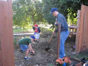 Read more about the article Putting in our new shed
