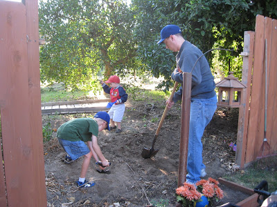 You are currently viewing Putting in our new shed