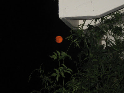You are currently viewing The orange moon….