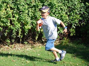 Read more about the article Around the house this morning