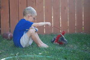 Read more about the article Fun with Honeysuckle