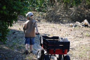 Read more about the article More fun this Sat. morning