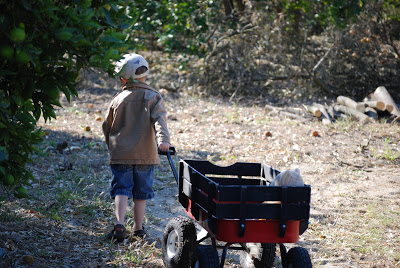 You are currently viewing More fun this Sat. morning