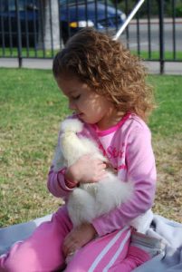 Read more about the article This week