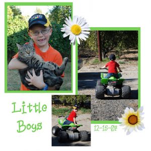 Read more about the article Around the house today