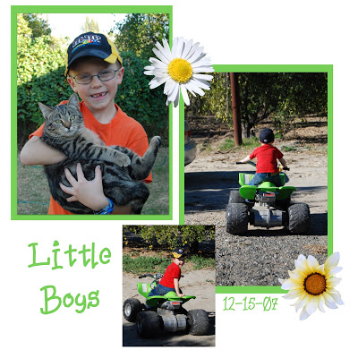 You are currently viewing Around the house today