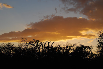 You are currently viewing Love clouds & sunsets…