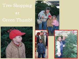 Read more about the article Tree Day