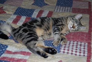 Read more about the article Honey….