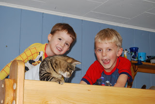 Read more about the article Boys and their kitty