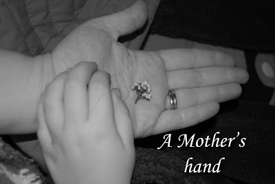 Read more about the article A flower from my baby boy….