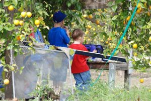 Read more about the article Fun outside today