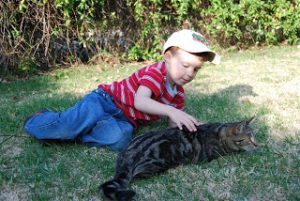 Read more about the article Chicken and Kitty time