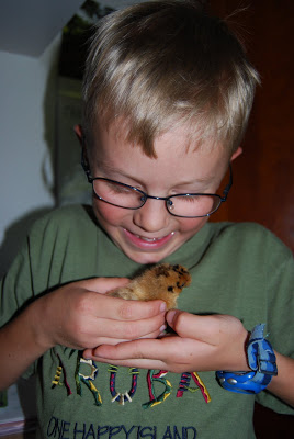 You are currently viewing Our little Cuties!