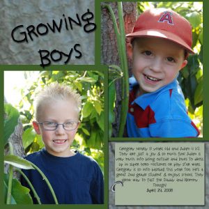 Read more about the article They are….