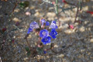 Read more about the article Spring is in the air