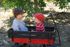 Read more about the article Adam and Jack