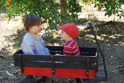 You are currently viewing Adam and Jack