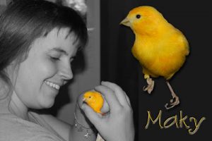 Read more about the article Singing…