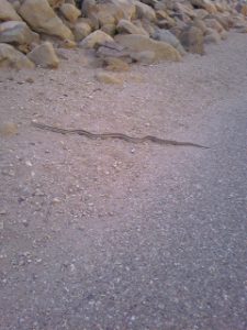 Read more about the article YIKES!