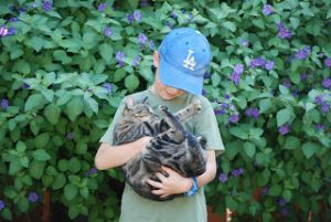 Read more about the article Here Kitty …. kitty….