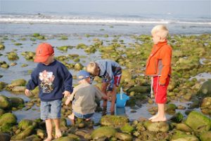Read more about the article Tide Pools