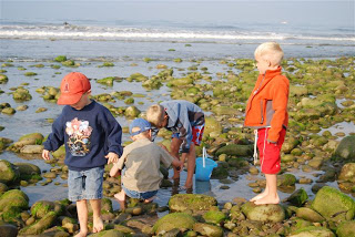 You are currently viewing Tide Pools