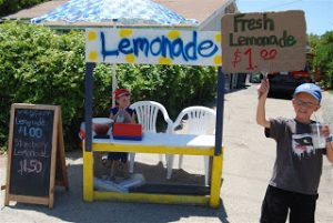 Read more about the article Lemonade for Sale!!