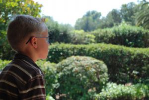 Read more about the article Whatcha thinking about Gregory?