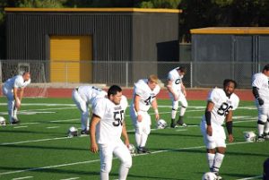 Read more about the article GO SHARKS!