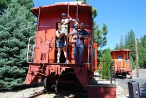 Read more about the article CHOO CHOO