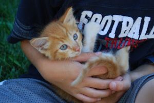 Read more about the article Welcome GARFIELD