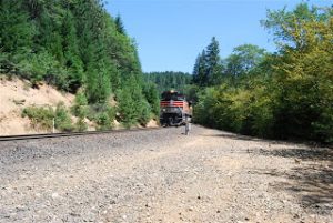 Read more about the article Waterfalls