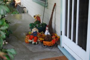 Read more about the article Feeling Fallish!