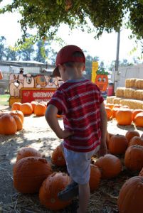 Read more about the article Pumpkin Time