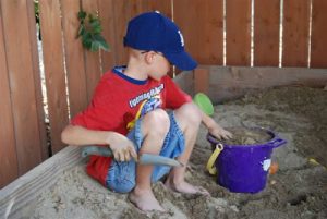 Read more about the article Sandy