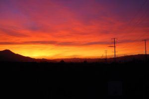 Read more about the article Captured this beautiful Sunset