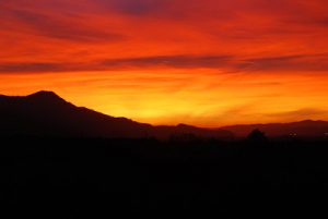 Read more about the article another….