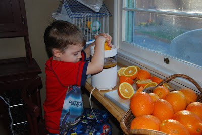 You are currently viewing Fresh Orange Juice
