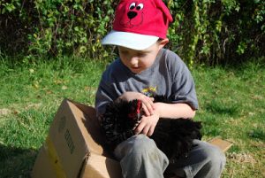 Read more about the article Frizzle with Adam